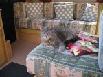 Picture 003.jpg