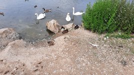 20210629_152944.jpg 20210629_152944.jpg