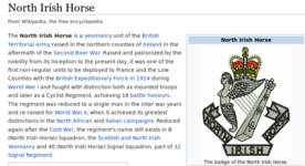 n irish horse.png