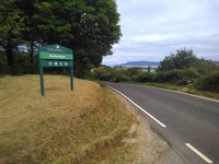 IMG_20210718_131046_993.jpg