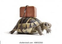 1653844601693.jpeg 1653844601693.jpeg