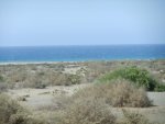 DSCF4334.jpg