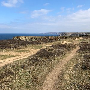 Cornish Views